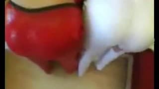 Zwillingsschwestern ficken gleichen Typen