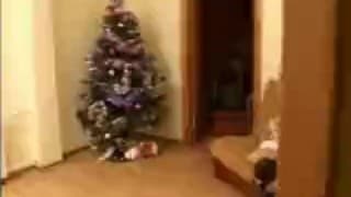 Bestätigen Sie Ihr Alter