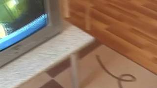 Junges Mädchen steht auf Schwänze Junges Mädchen steht auf Schwänze