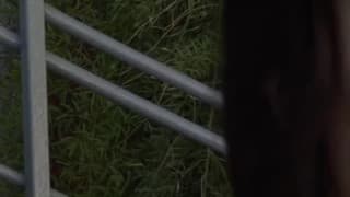 Bestätigen Sie Ihr Alter