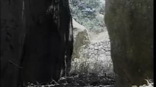 Bestätigen Sie Ihr Alter