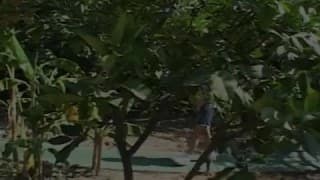 Bestätigen Sie Ihr Alter