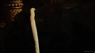 Aletta Ocean befreit ihren Lover