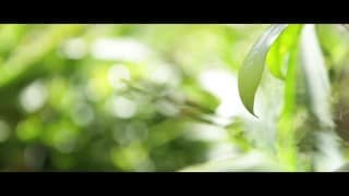 Bestätigen Sie Ihr Alter