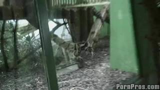 Dieser Schwanz streichelt ihr Gesicht