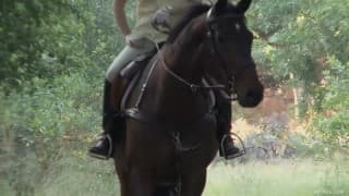 Bestätigen Sie Ihr Alter