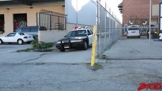 Lola Foxx wird gut gefickt