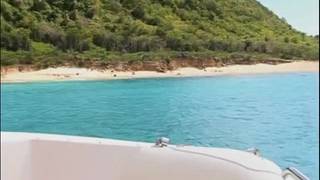 Ein Schwanz für Renata Black und Blue Angel