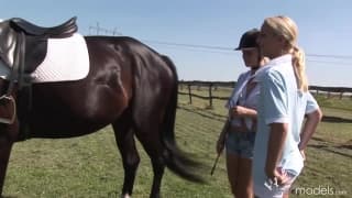 Blond Cat und Yasmine Gold neben der Scheune