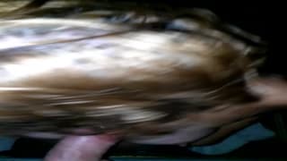 Sie bläst den Schwanz eine halbe Stunde lang