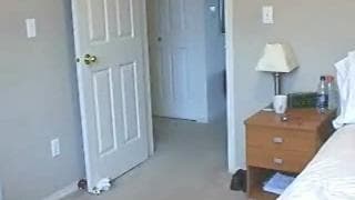 Sie masturbiert für dich vor der Webcam