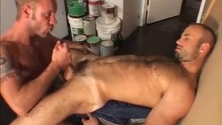 Muskulöse haariger Männer haben Sex