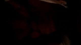 Brünette gibt guten Blowjob vor Kamera