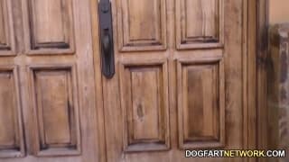 Casey Calvert von mehreren Schwarzen gefickt