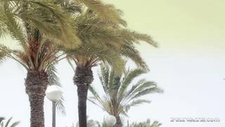 Erica Fontes in Gruppe mit Tiffany Doll