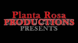 zwei notgeile schwarze Kerle ficken hart