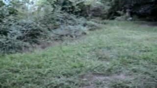 Zärtlichkeit mitten in der Natur für Madame