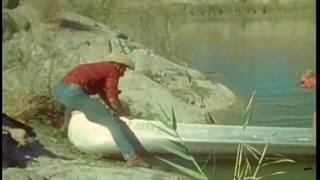 Ed Wiley kriegt gerne seinen Pimmel geblasen