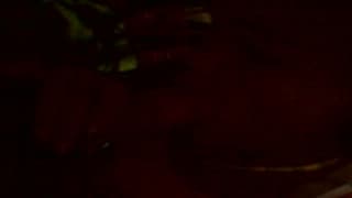 Sie blasen und haben Sex vor der Kamera