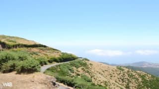 Brünettes Babe liebt die Natur - und fingern