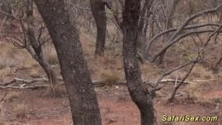 Bestätigen Sie Ihr Alter