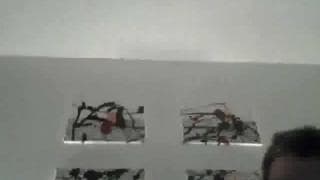 Bestätigen Sie Ihr Alter