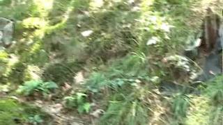 Martin und Matti lutschen mit einem Freund