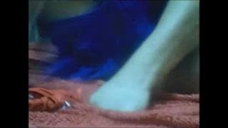 Bestätigen Sie Ihr Alter