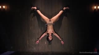 Sie haben ihrem Kopf und Körper gefesselt