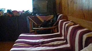 Bestätigen Sie Ihr Alter