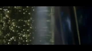 Bestätigen Sie Ihr Alter