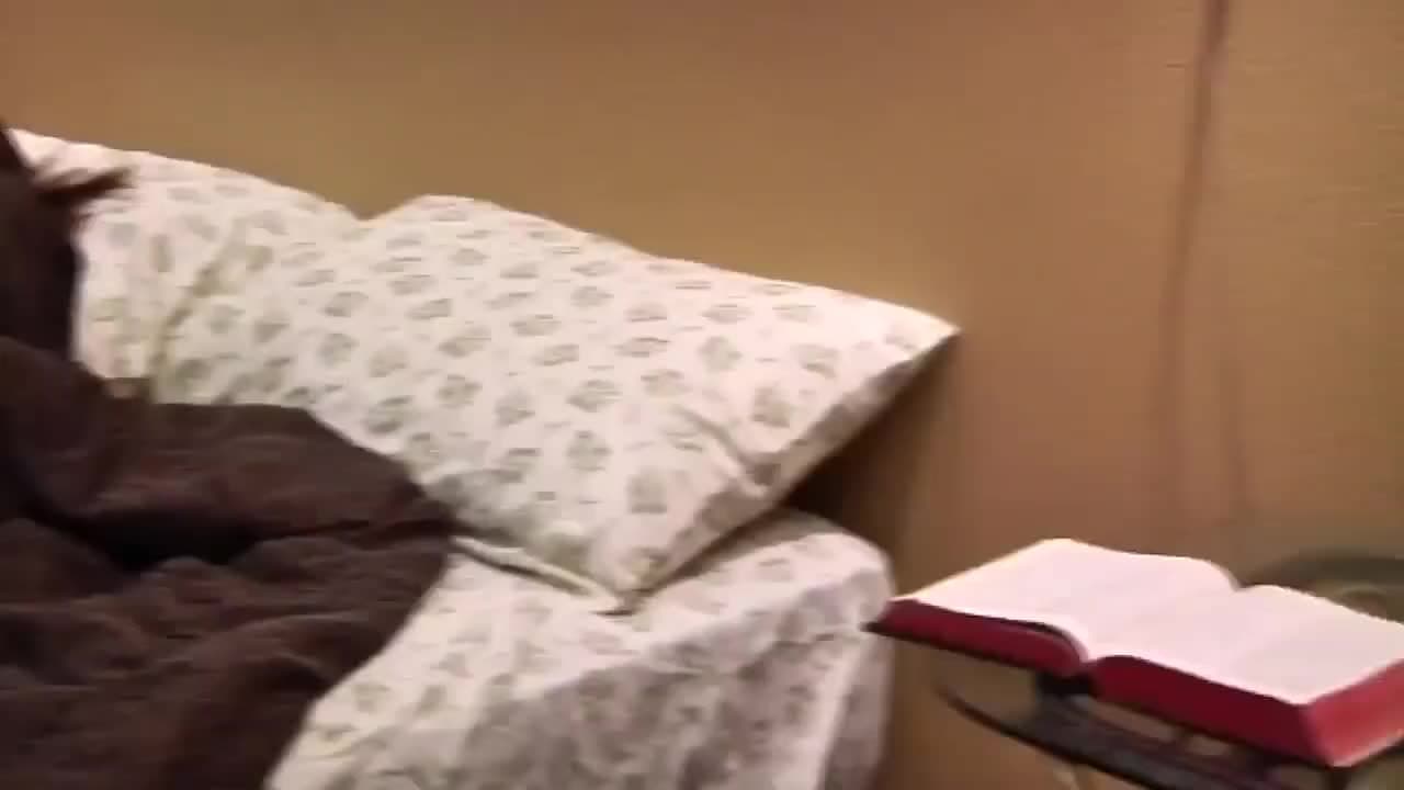 Bestätigen Sie Ihr Alter