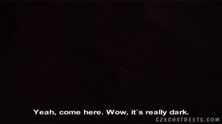 Eine tschechische Schlampe wird durchgevögelt