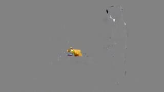 Bestätigen Sie Ihr Alter