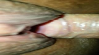 Schwarze Fotze wird von weißem Schwanz gefickt