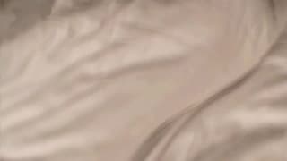 Bestätigen Sie Ihr Alter