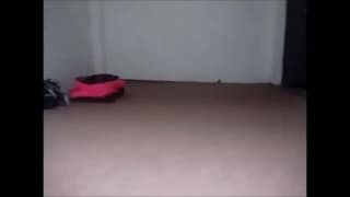 Bestätigen Sie Ihr Alter