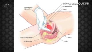 How2fuck : wie man seine Frau befriedigt