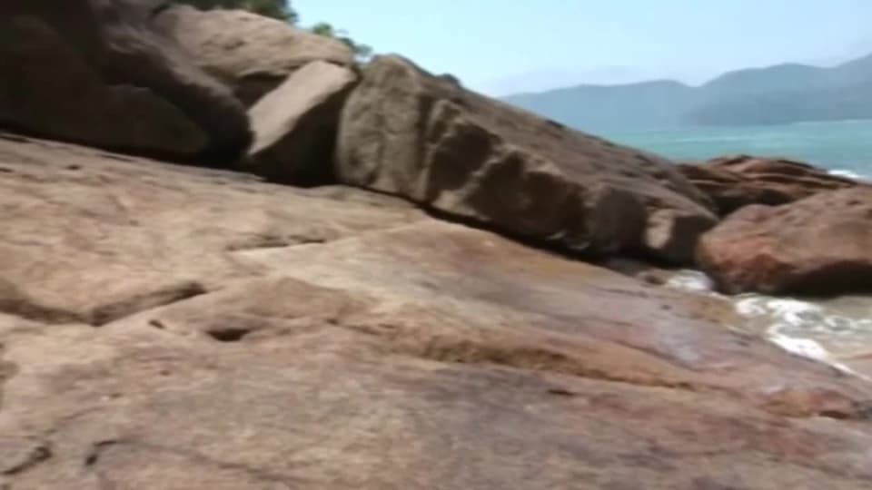 Bestätigen Sie Ihr Alter