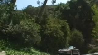 Bestätigen Sie Ihr Alter