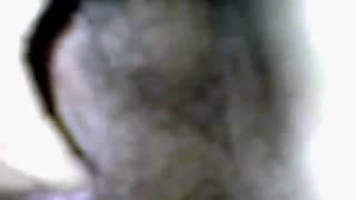 Eine haarige Muschi spielt geil vor der Cam Eine haarige Muschi spielt geil vor der Cam