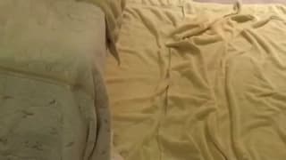 Bestätigen Sie Ihr Alter