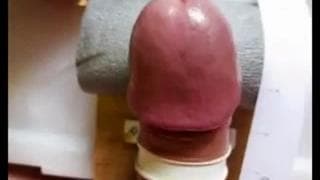 Hausgemachtes Schwanz Masturbation Werkzeug