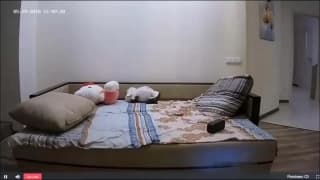 Bestätigen Sie Ihr Alter