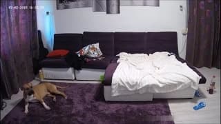 Bestätigen Sie Ihr Alter