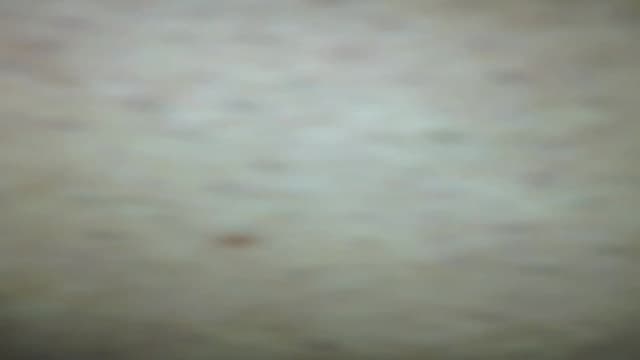 Bestätigen Sie Ihr Alter