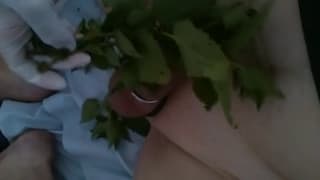 Schwuler, der sich in einem Busch vergnügt Schwuler, der sich in einem Busch vergnügt