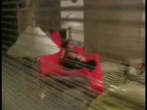 Bestätigen Sie Ihr Alter