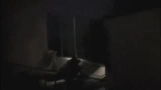Wir sehen alles während sie Im Dunkeln ficken Wir sehen alles während sie Im Dunkeln ficken