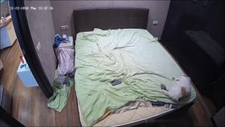 Bestätigen Sie Ihr Alter